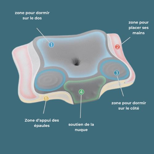 Oreiller Ergonomique Cervical